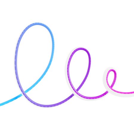 Cuerda de Neon Inteligente - 5m RGBIC