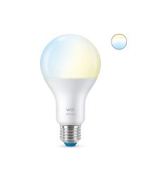 Bombilla E27 blanca regulable cálido-frío 13W. Dimmable