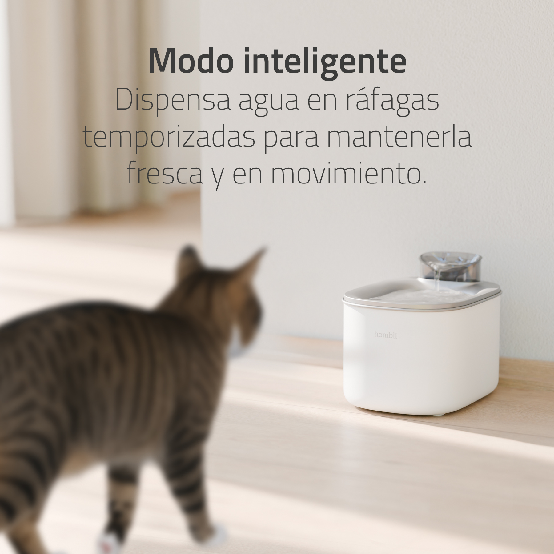 La imagen muestra una fuente de agua inteligente para mascotas de la marca Hombli. El dispositivo está diseñado para dispensar agua en ráfagas temporizadas, manteniéndola fresca y en movimiento, lo que resulta atractivo para los animales. Se observa un ambiente luminoso y acogedor, con un gato en primer plano que parece interesado en la fuente. Los colores predominantes son blancos y tonos naturales de la madera del suelo.