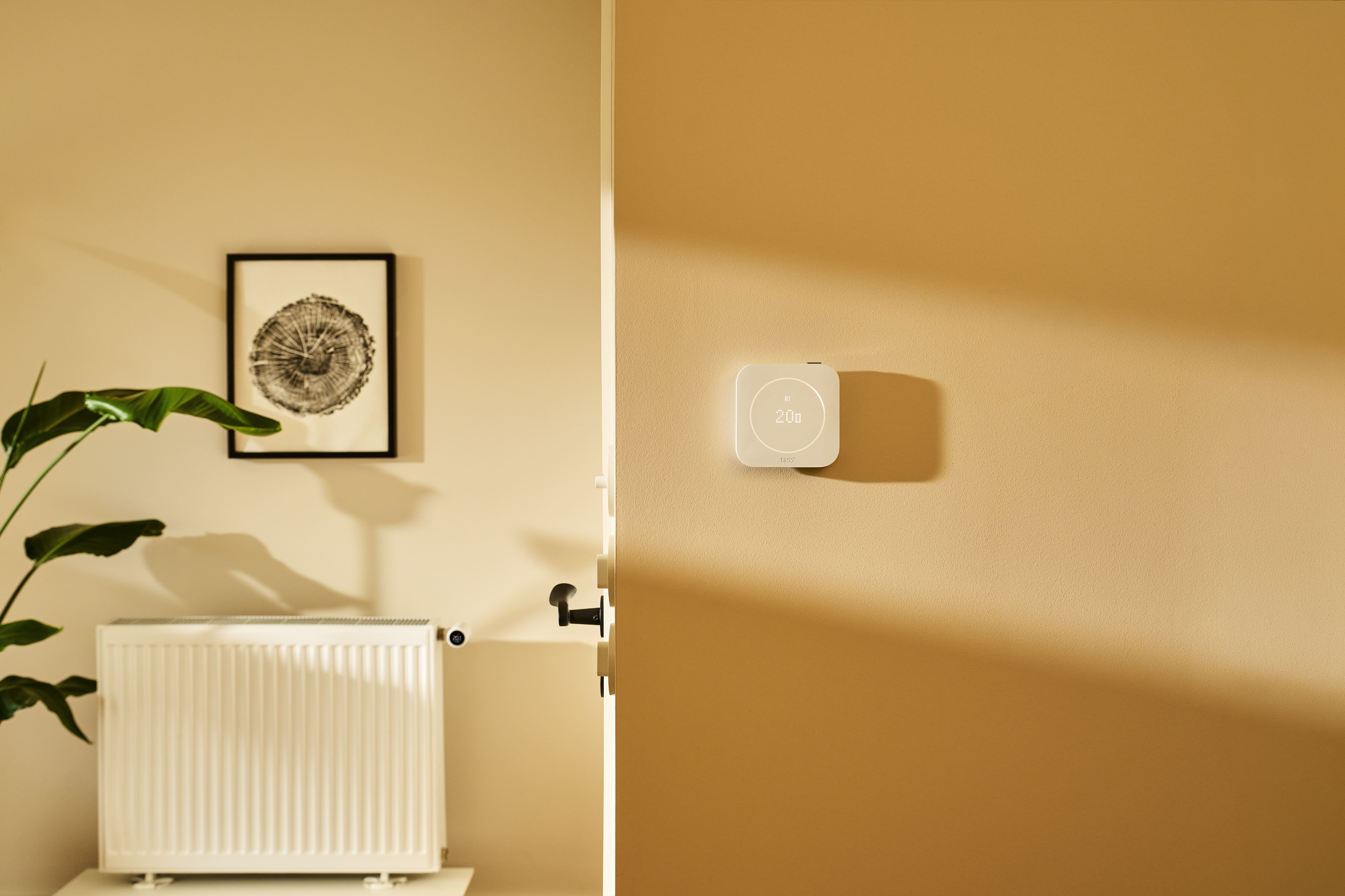 La imagen muestra un termostato inteligente montado en la pared de una habitación moderna y acogedora. A su lado, se puede ver un radiador blanco y una planta decorativa, lo que sugiere un ambiente cálido y confortable. Este tipo de dispositivo es ideal para controlar la temperatura del hogar de manera eficiente.